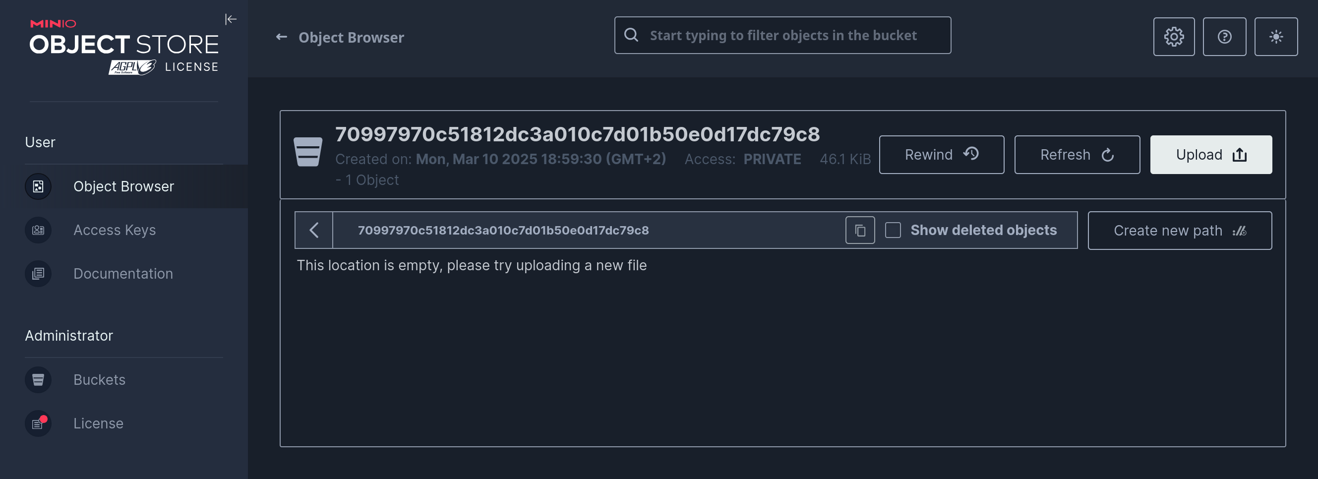 Screenshot of the Minio Console